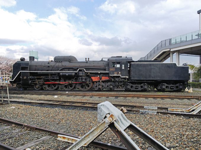 【京都鉄道博物館】展示車両（扇形車庫）《SL C61形2号機》